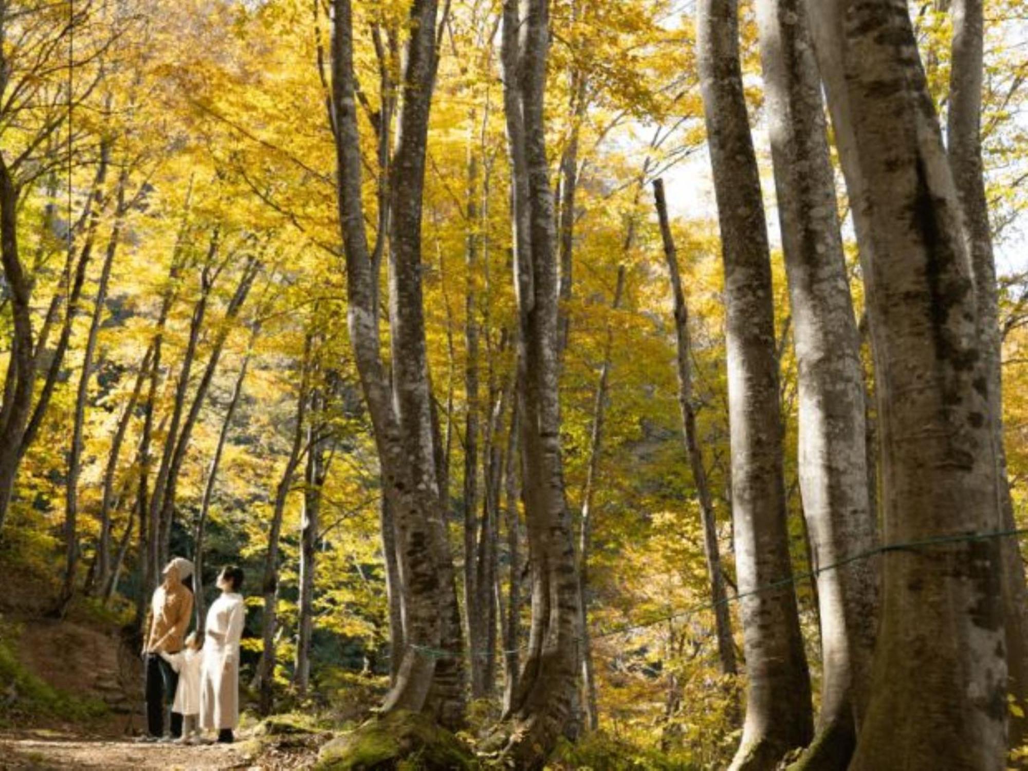 Shosenkaku Kagetsu Hotell Yuzawa  Exteriör bild